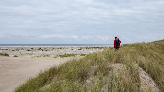 person in red shirt at grass field under gray skies in Ameland Netherlands