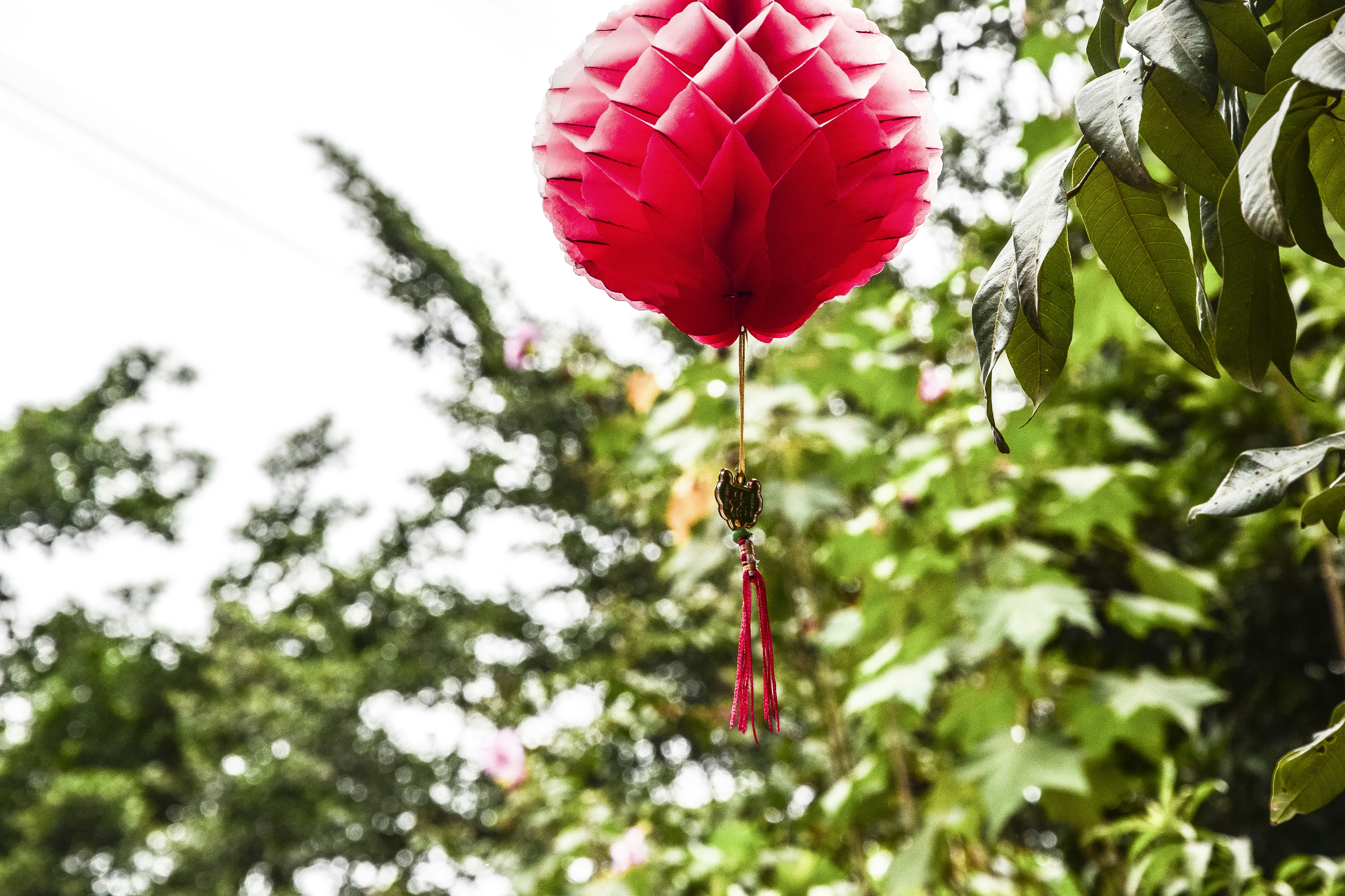 Free Unsplash photo from W kelkinc