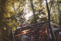 Sunlight filters through a dense canopy of trees casting dappled shadows across a rustic structure adorned with hanging flowers and frames. The atmosphere is serene and whimsical with an emphasis on natural beauty. Wooden textures and vibrant colors from the flowers add to the scene's charm.