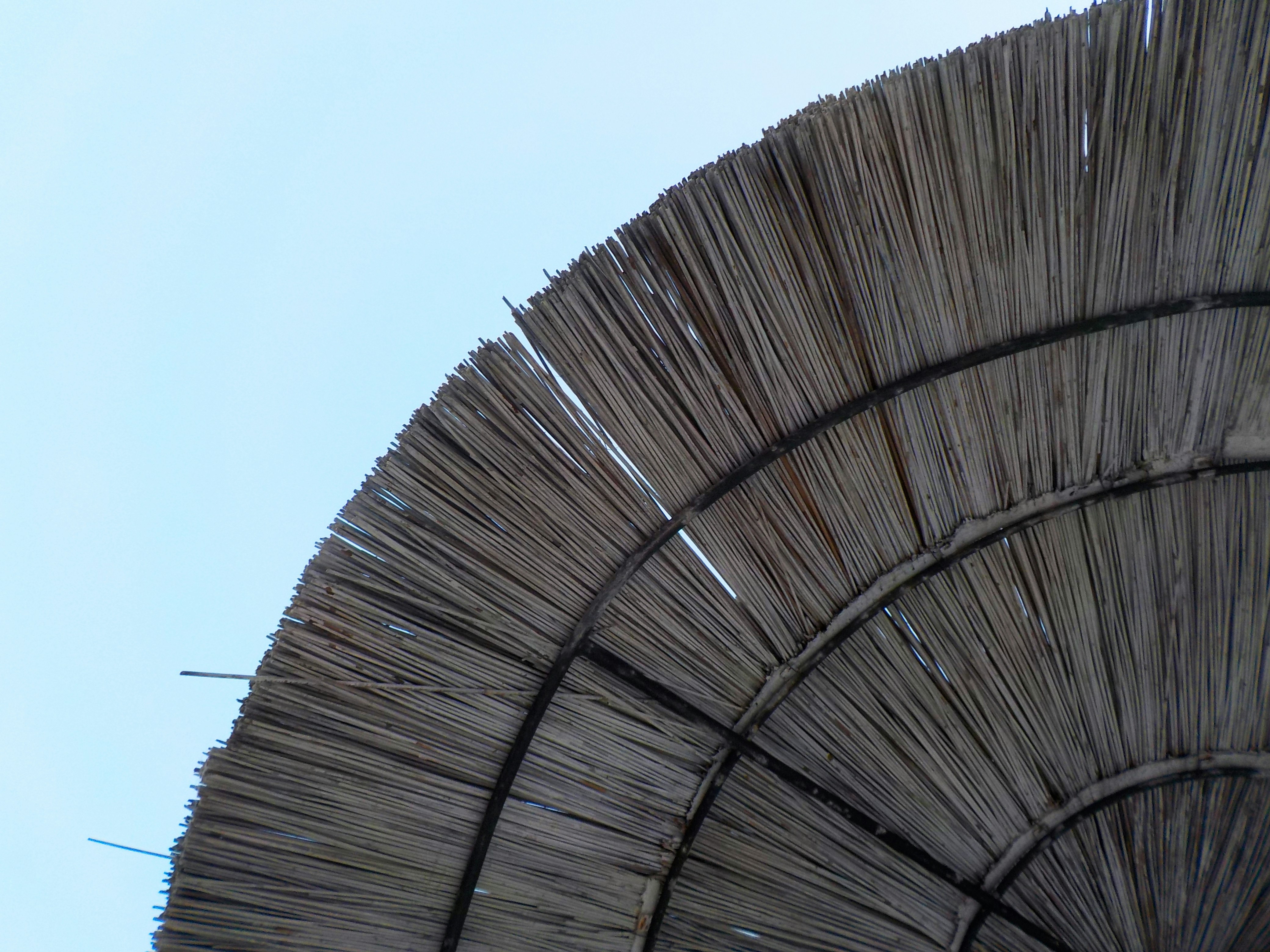 Free Unsplash photo from Green Flamingo Design