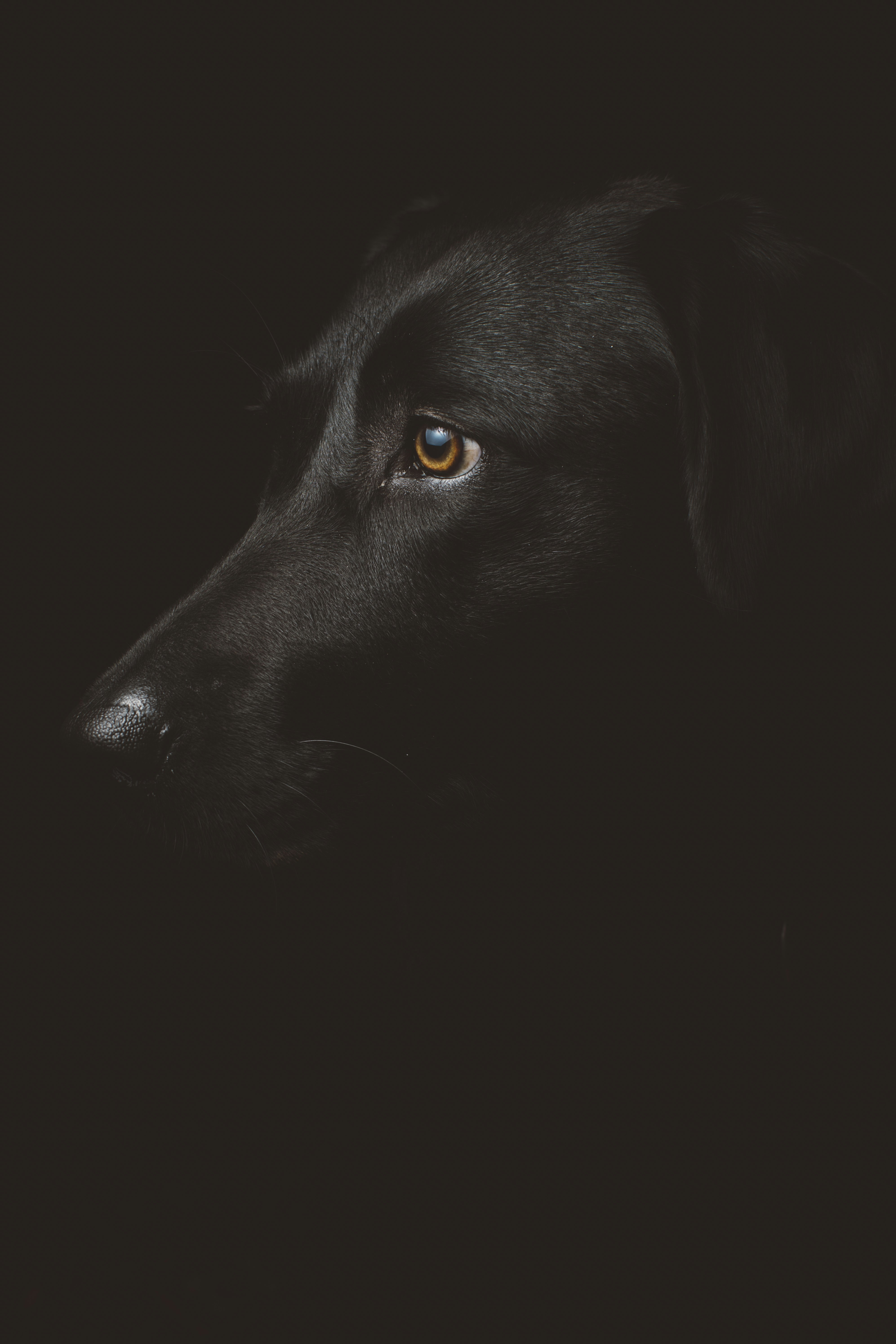 Choose from a curated selection of grey wallpapers for your mobile and desktop screens. Always free on Unsplash.