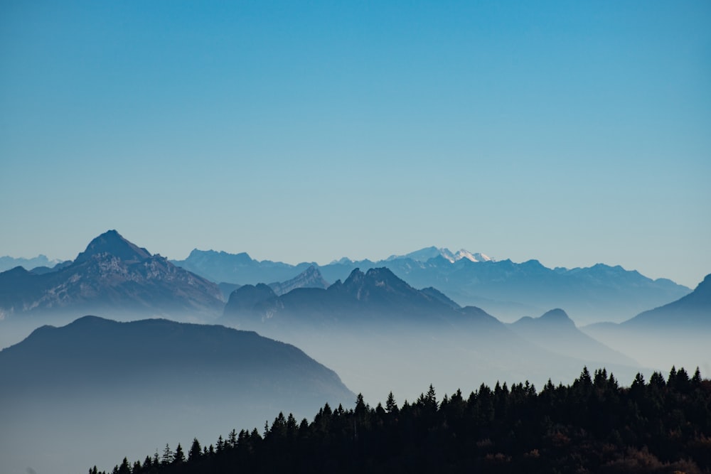 aerial view photography of trees and mountains