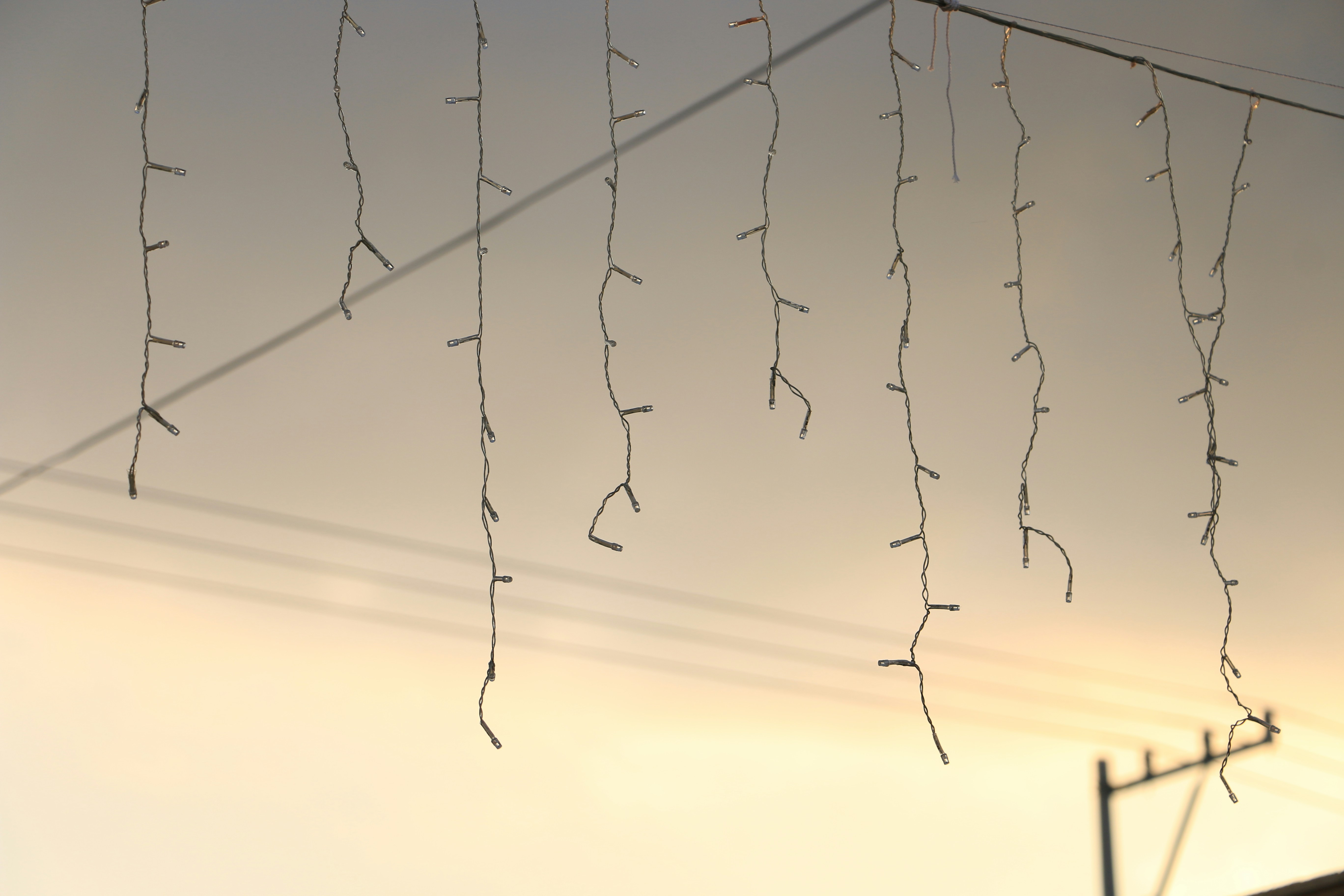 Free Unsplash photo from Raphael Bruno