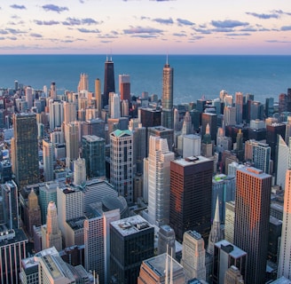 white and brown city buildings during daytime