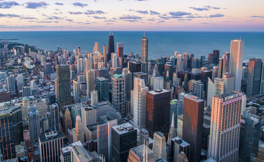 white and brown city buildings during daytime