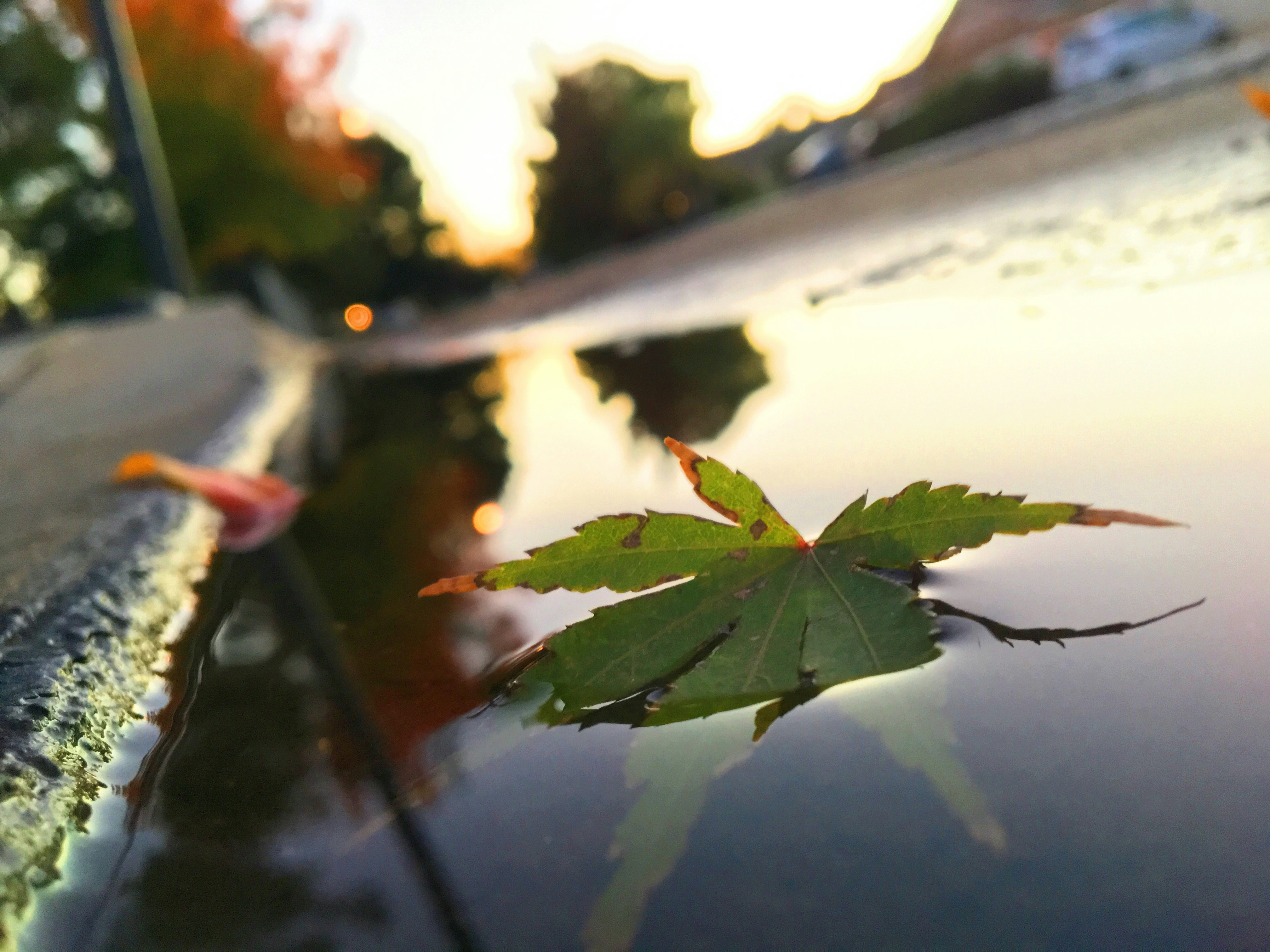 Free Unsplash photo from jim che