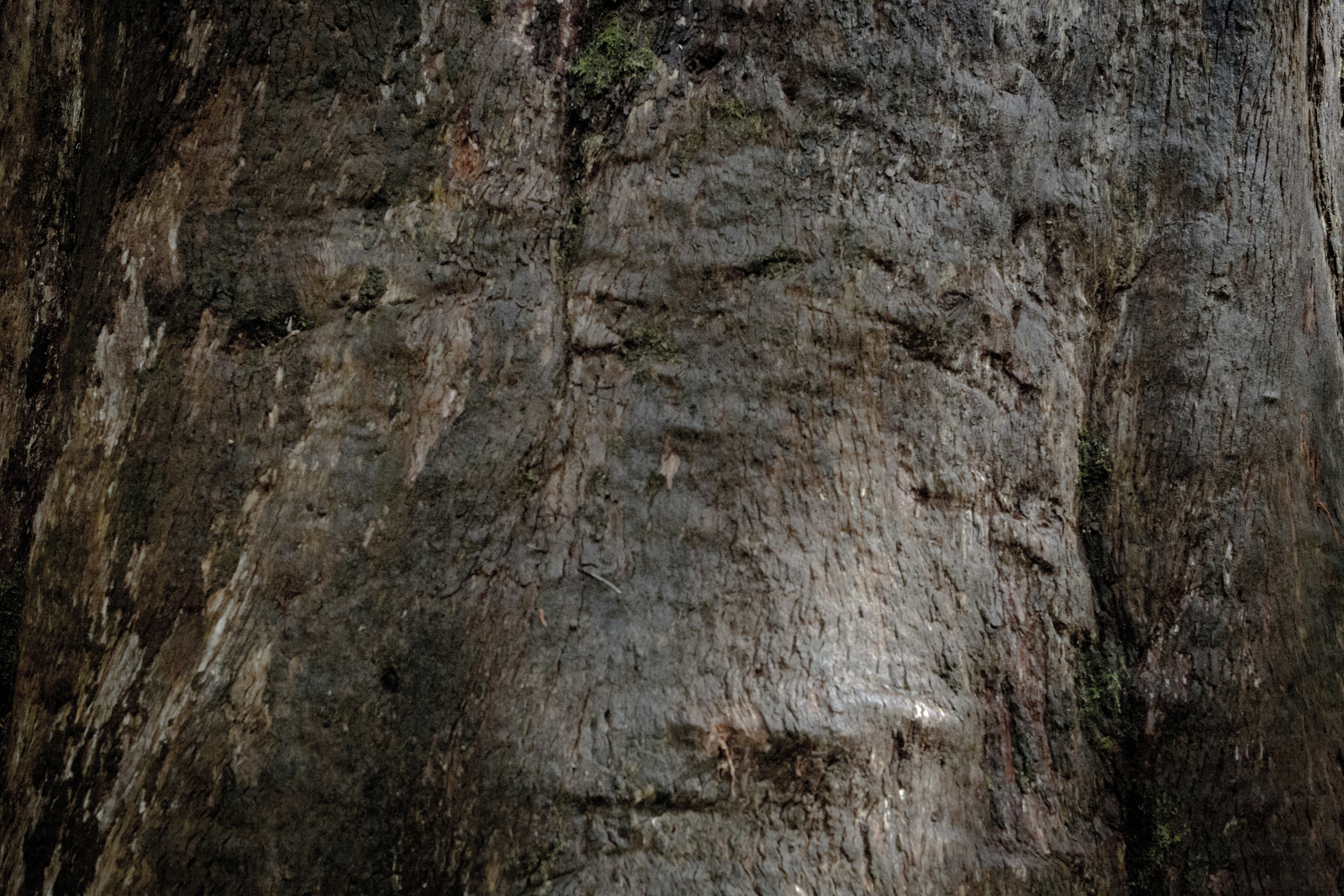 Free Unsplash photo from Dave Edgar