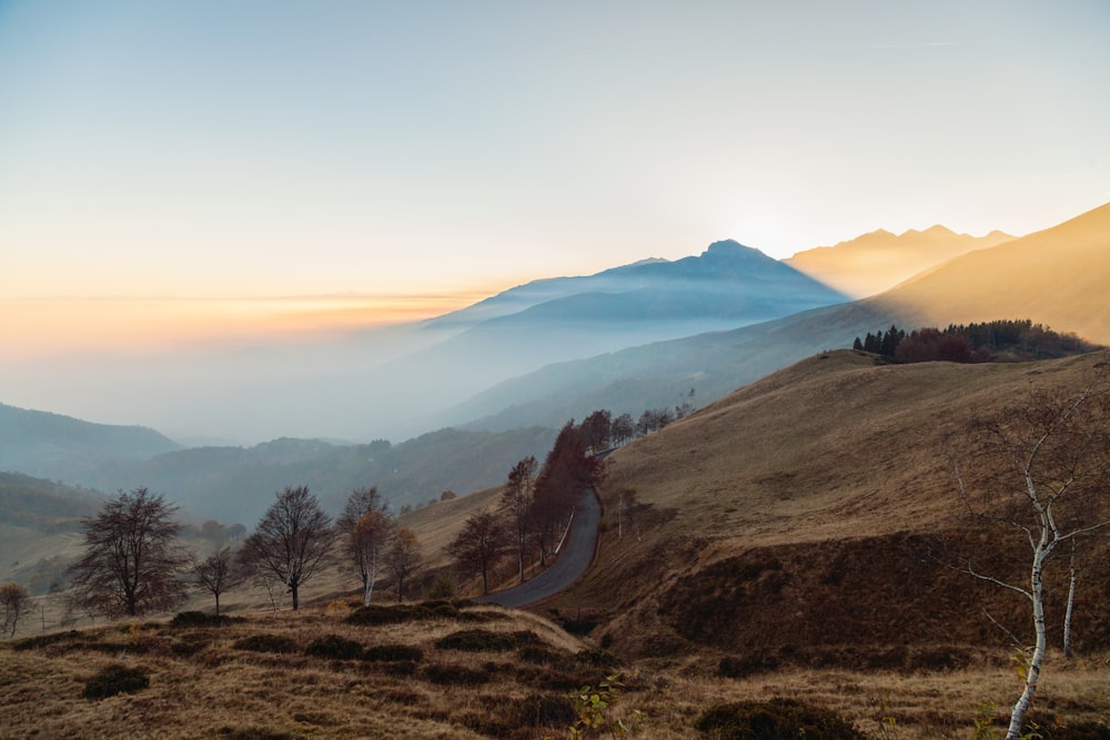 árvores perto da montanha durante o dia