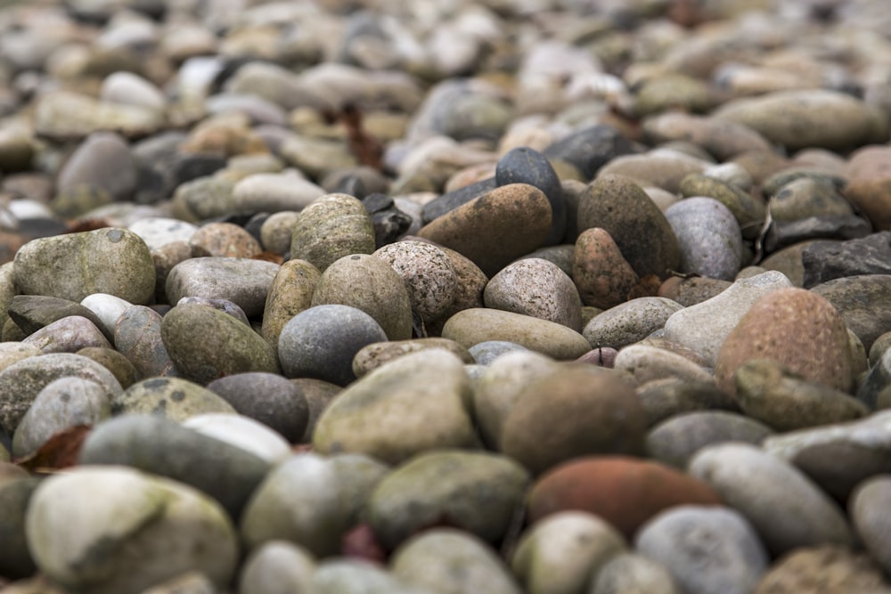 brown and black stones during daytime