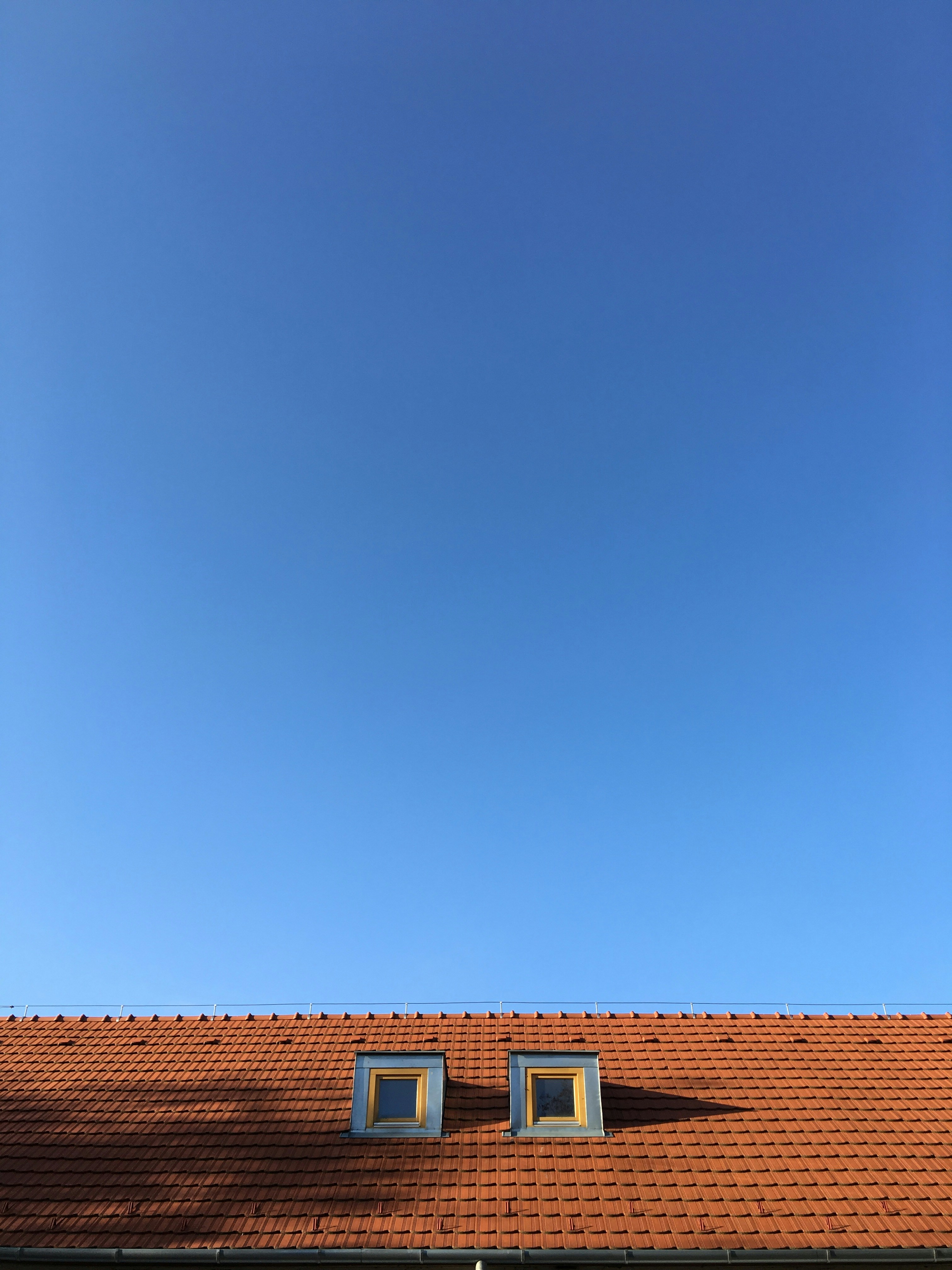 Free Unsplash photo from Szőllősy Benjamin