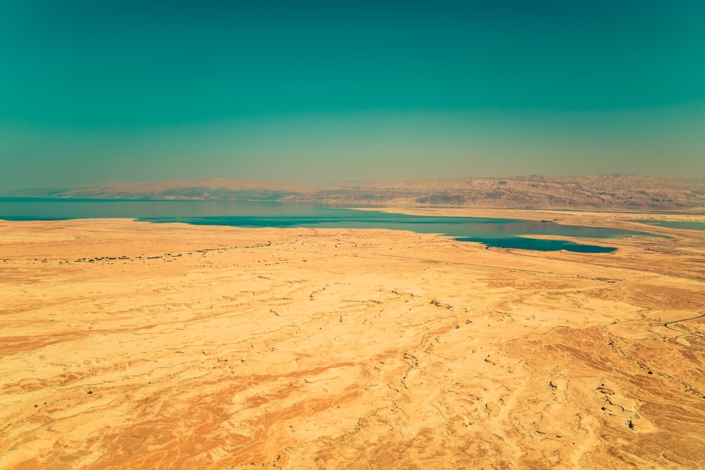 calm green sea beside brown sand under green sky