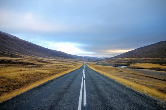 landscape photography of black asphalt road with white line surrounded by brown grass field during daytime in Eastern Region Iceland