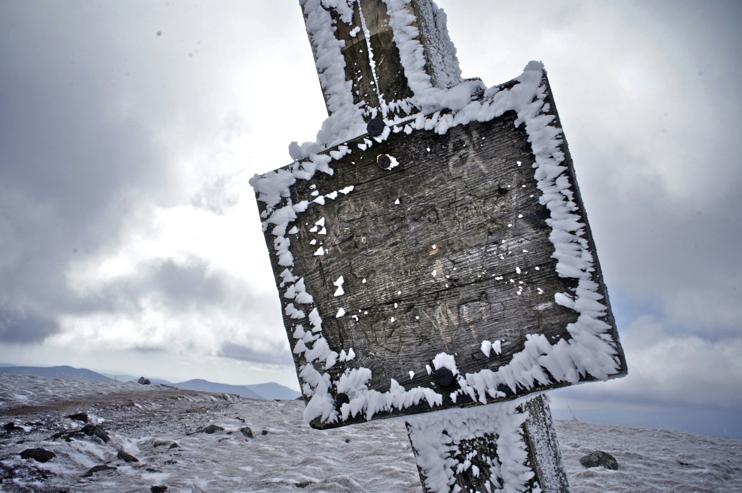 Free Unsplash photo from Andrew Jenkins