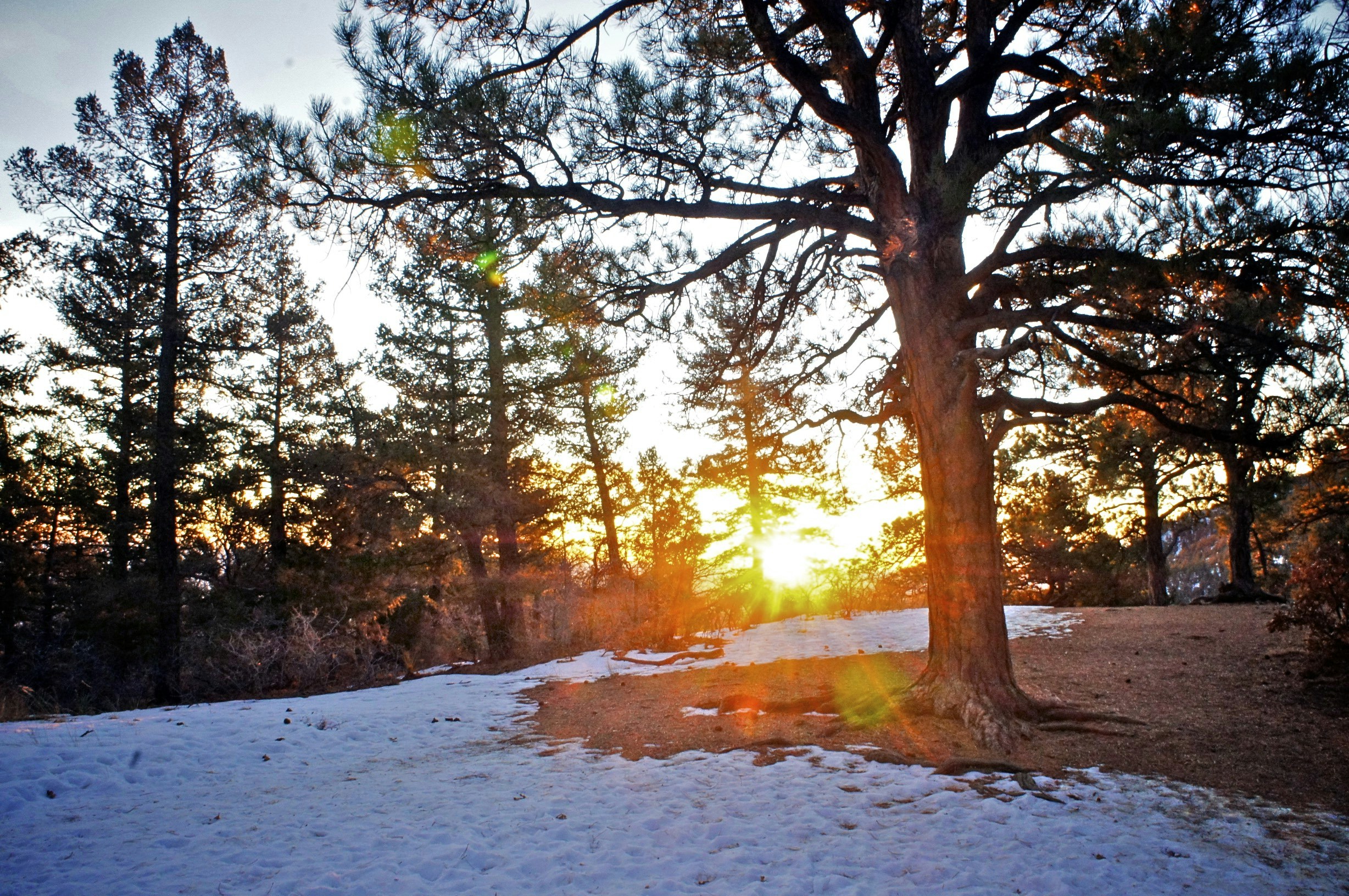 Free Unsplash photo from Andrew Jenkins