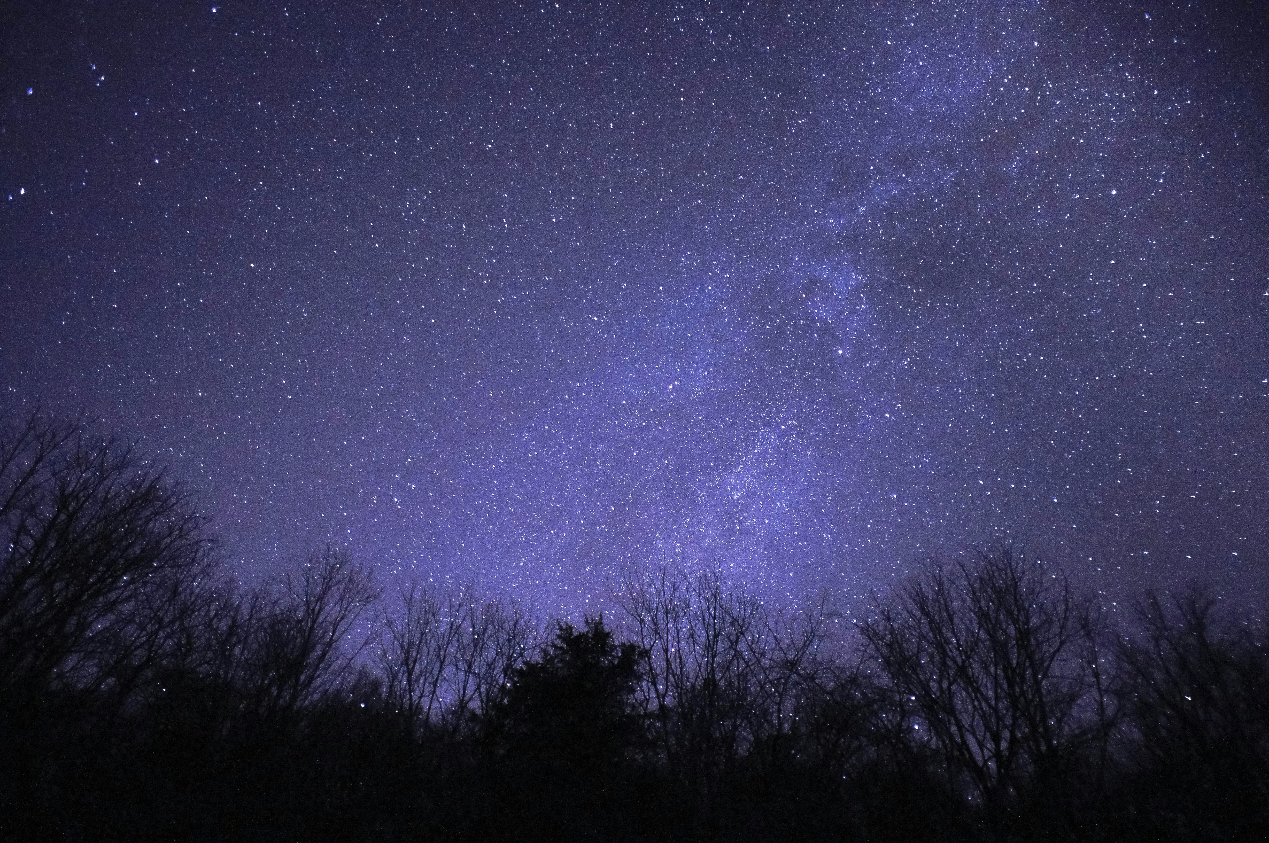 Free Unsplash photo from Andrew Jenkins