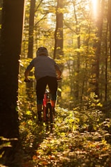 Mountain biker riding through a lush forest trail at sunrise.