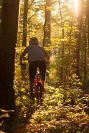 A mountain biker riding through a dense forest trail bathed in morning light.