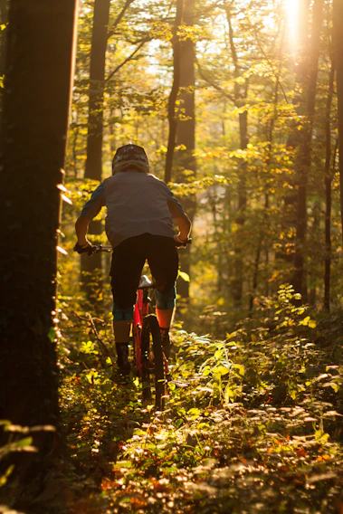 Mountain biker riding through a sunlit forest trail with vibrant autumn leaves.