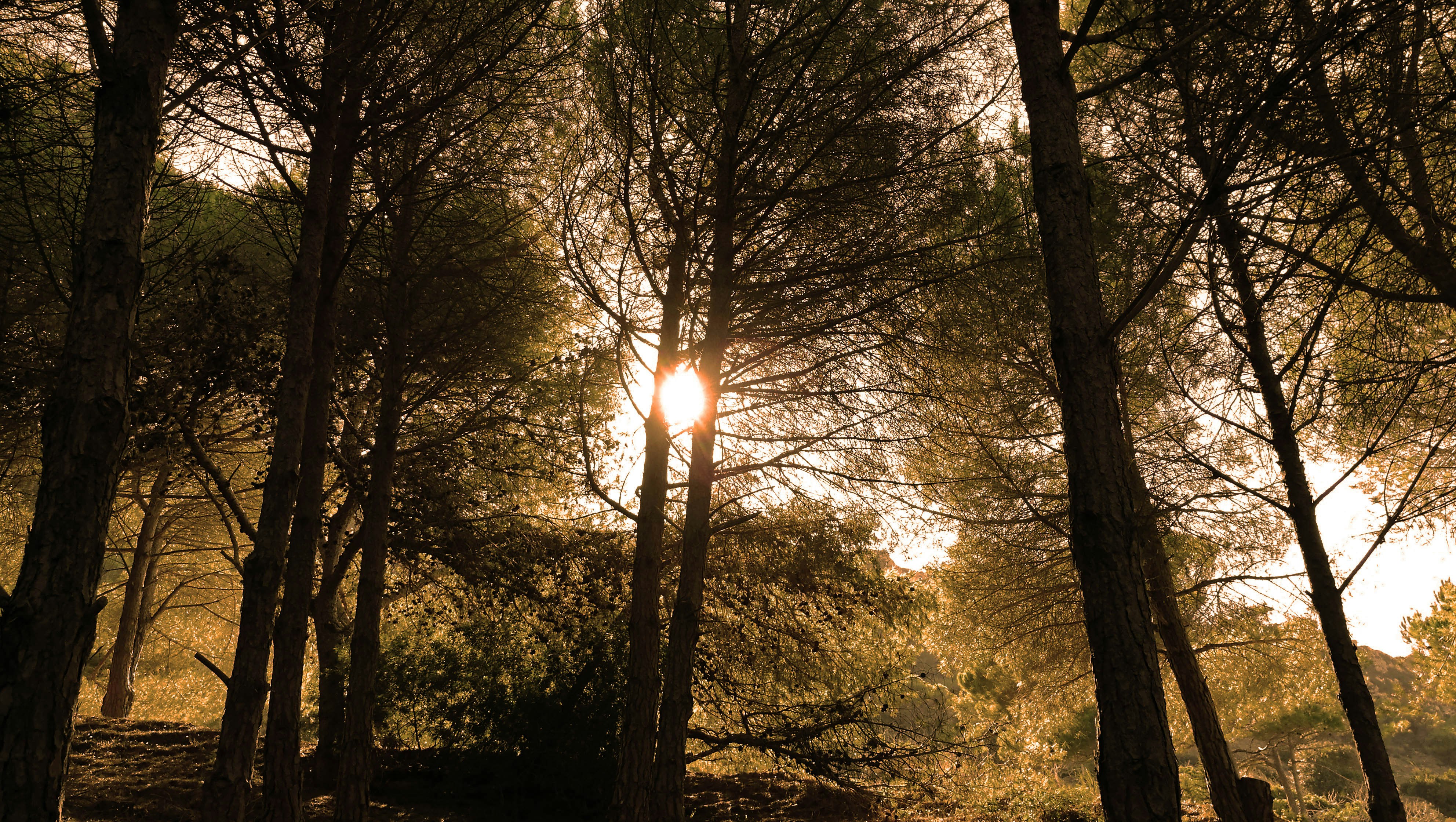 Free Unsplash photo from Khalil Yamoun