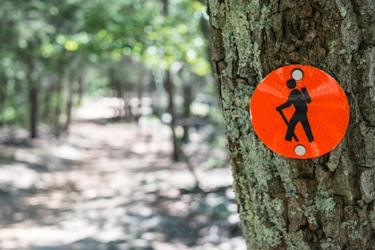 red and black signage on tree og in Crowders Mountain United States