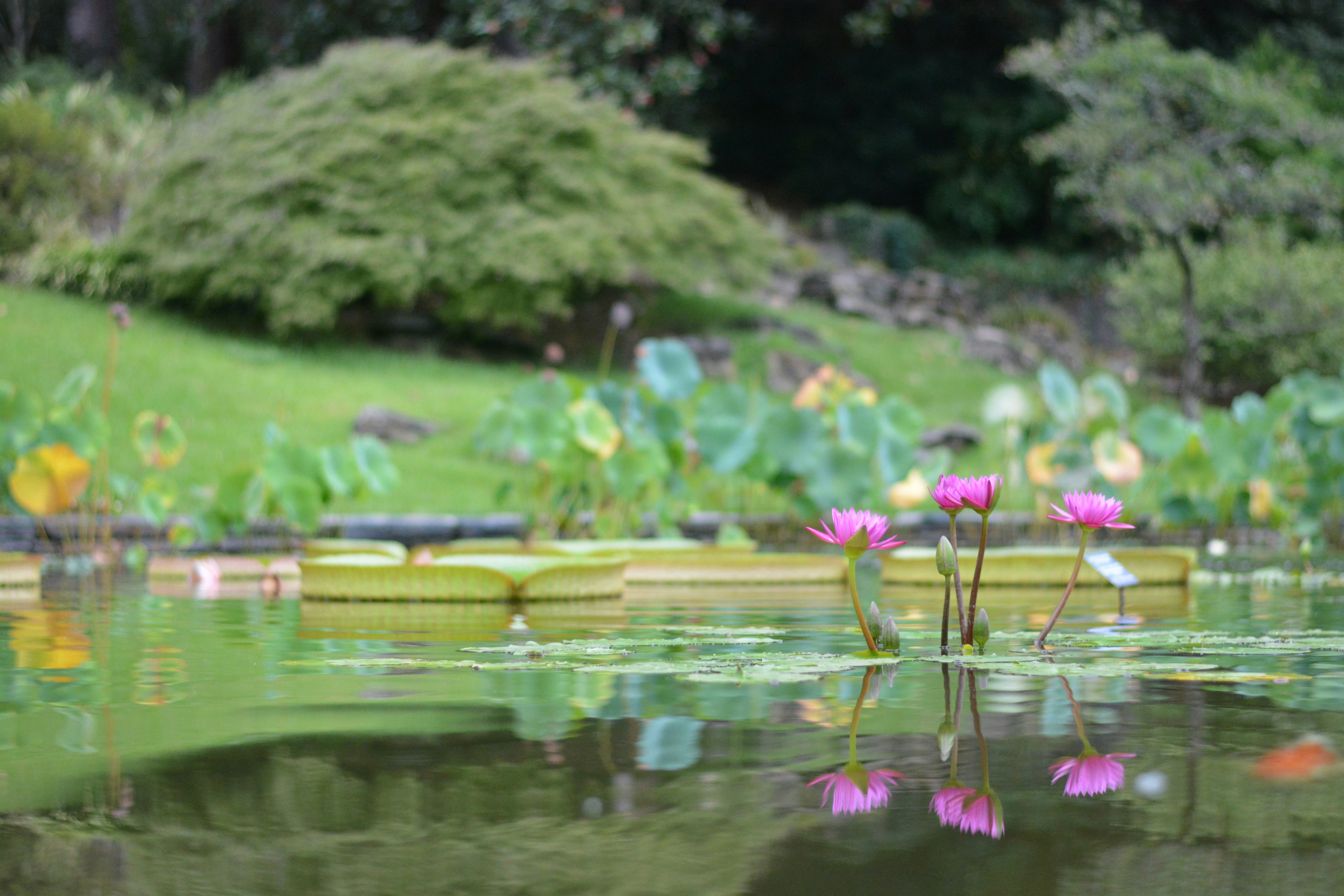 Free Unsplash photo from Callistus Ndemo