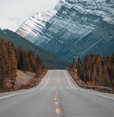 gray concrete road between trees near mountain