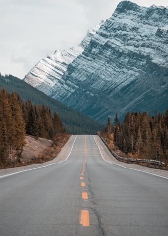 gray concrete road between trees near mountain