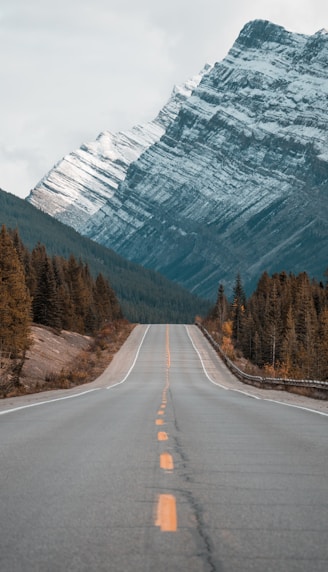 gray concrete road between trees near mountain