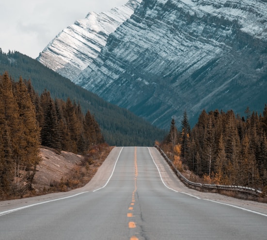 gray concrete road between trees near mountain