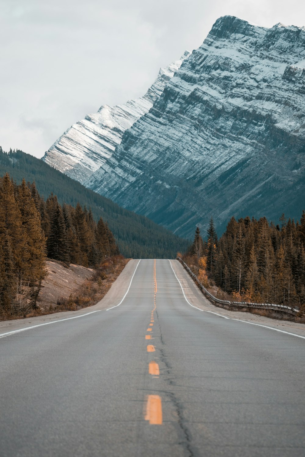 gray concrete road between trees near mountain