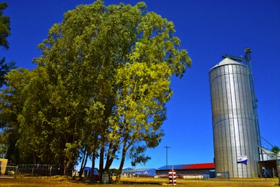 A large industrial silo standing tall against a clear blue sky, ready for storage.