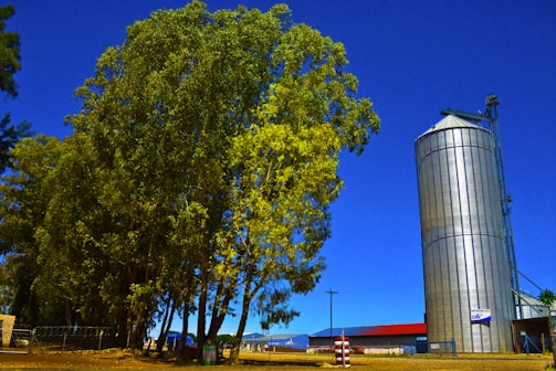 A towering silo being carefully erected by SS Engineering Work team on a sunny day.