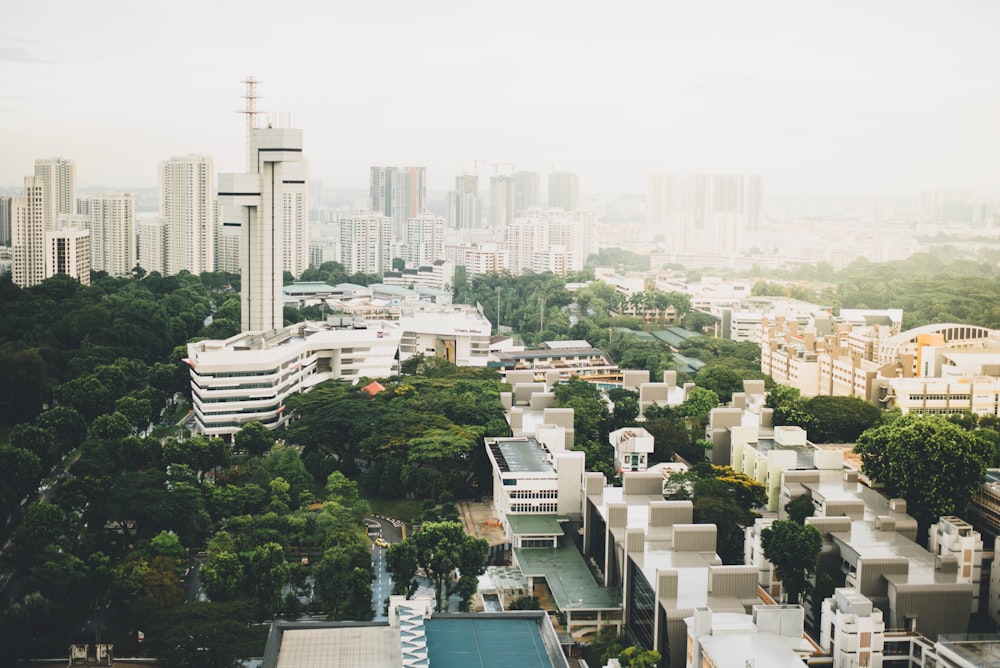 white concrete buildings during daytime