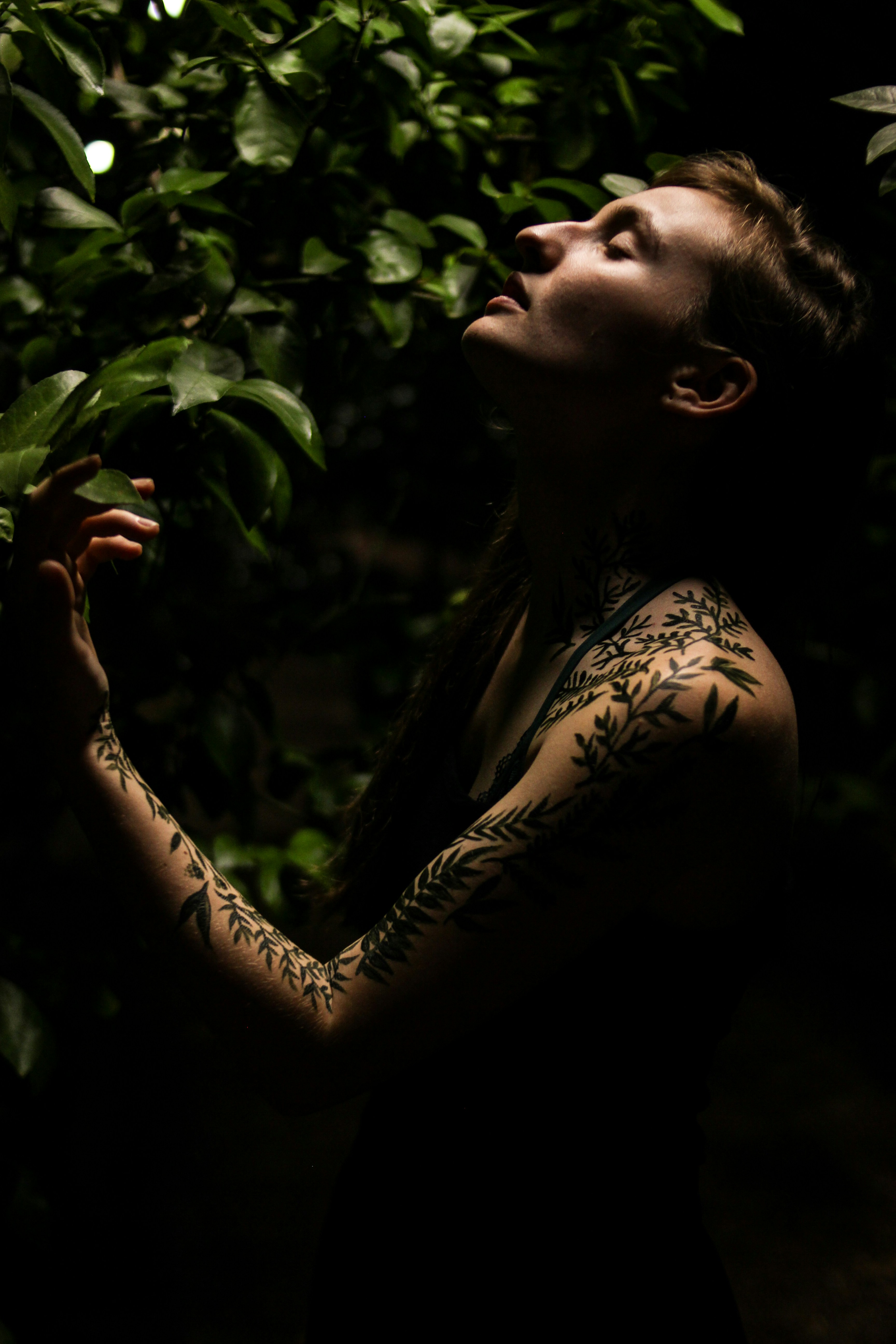 Free Unsplash photo from Tyler Dozier