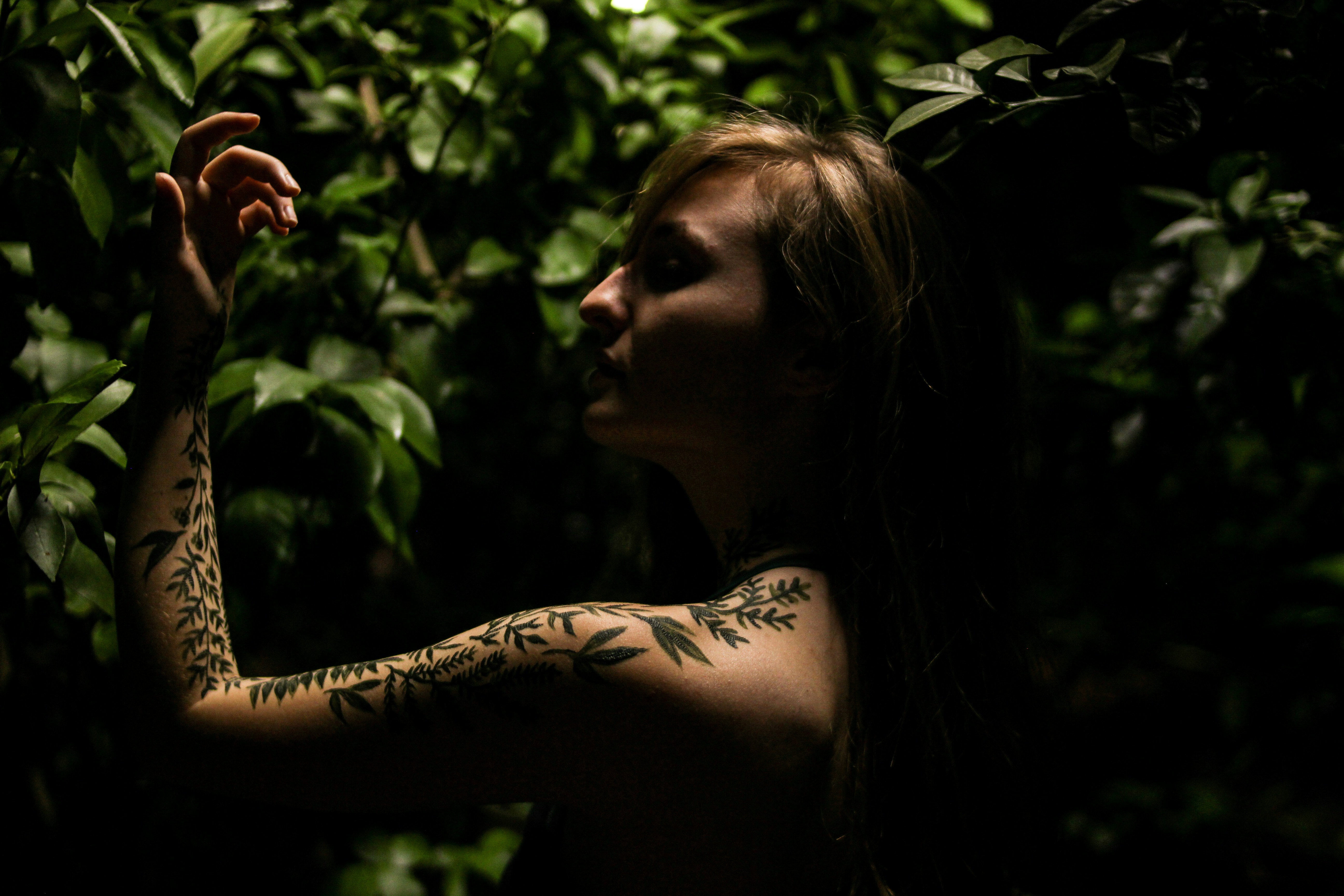 Free Unsplash photo from Tyler Dozier