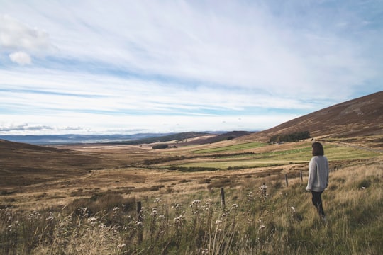 person in white shirt standing on green grass field during daytime in Cairngorms National Park United Kingdom