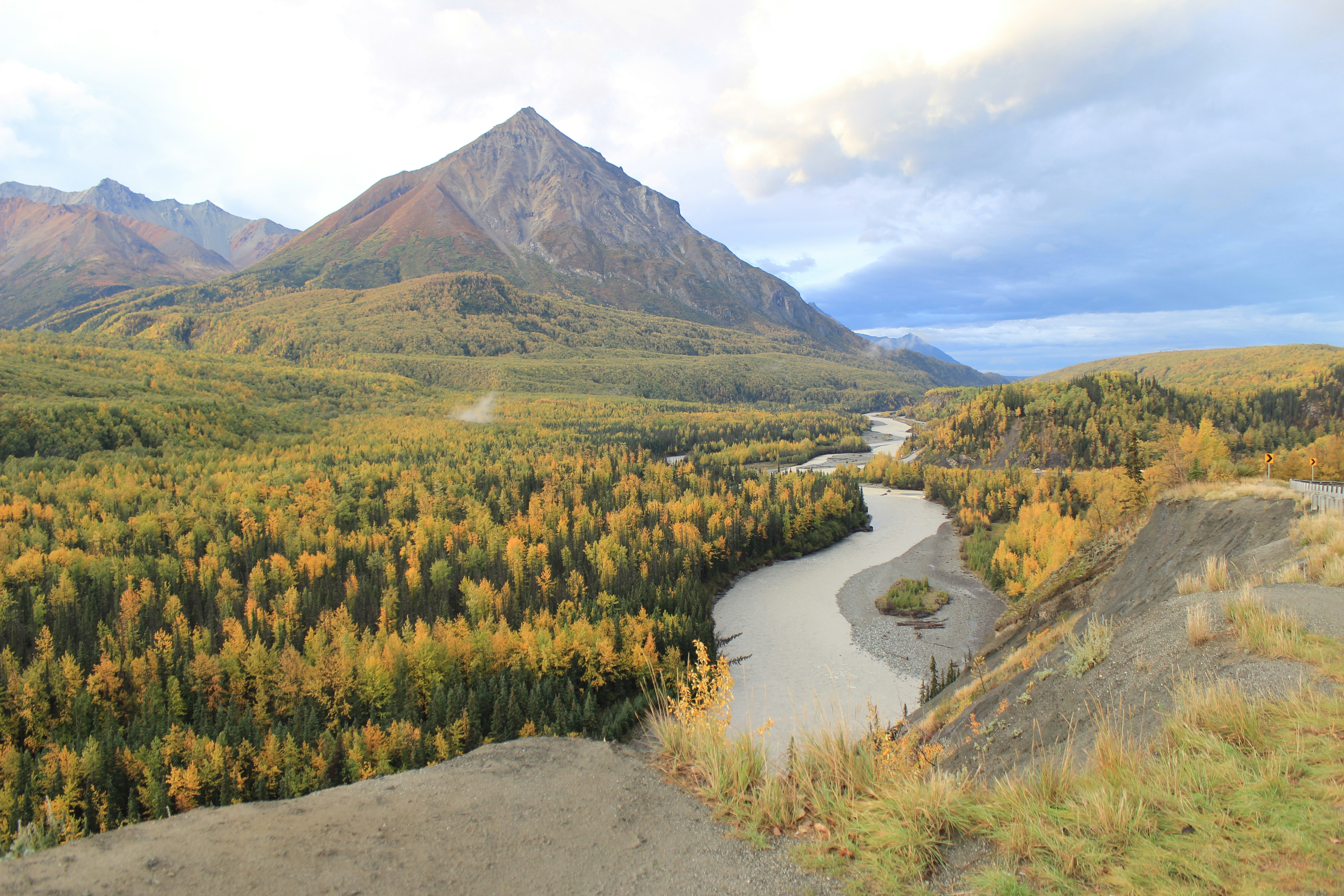 Free Unsplash photo from Tiago Castro