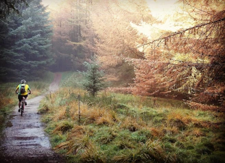A cyclist riding a gravel bike on a rugged forest trail during autumn.
