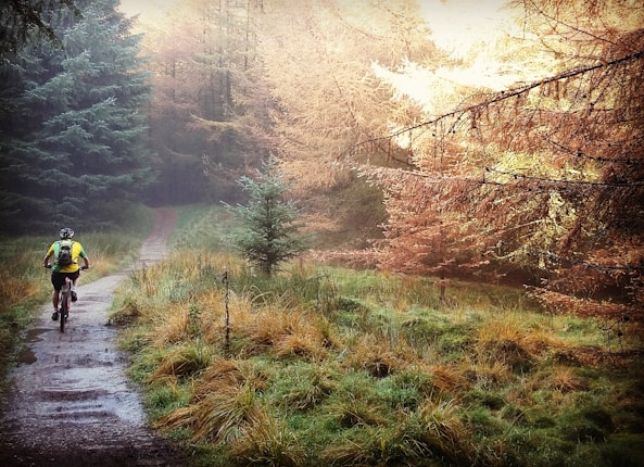 A cyclist rides along a winding path through a dense forest. The trees are a mix of evergreen and autumn foliage, creating a contrast of colors. The ground is covered with grass and the trail is slightly muddy, suggesting recent rain.
