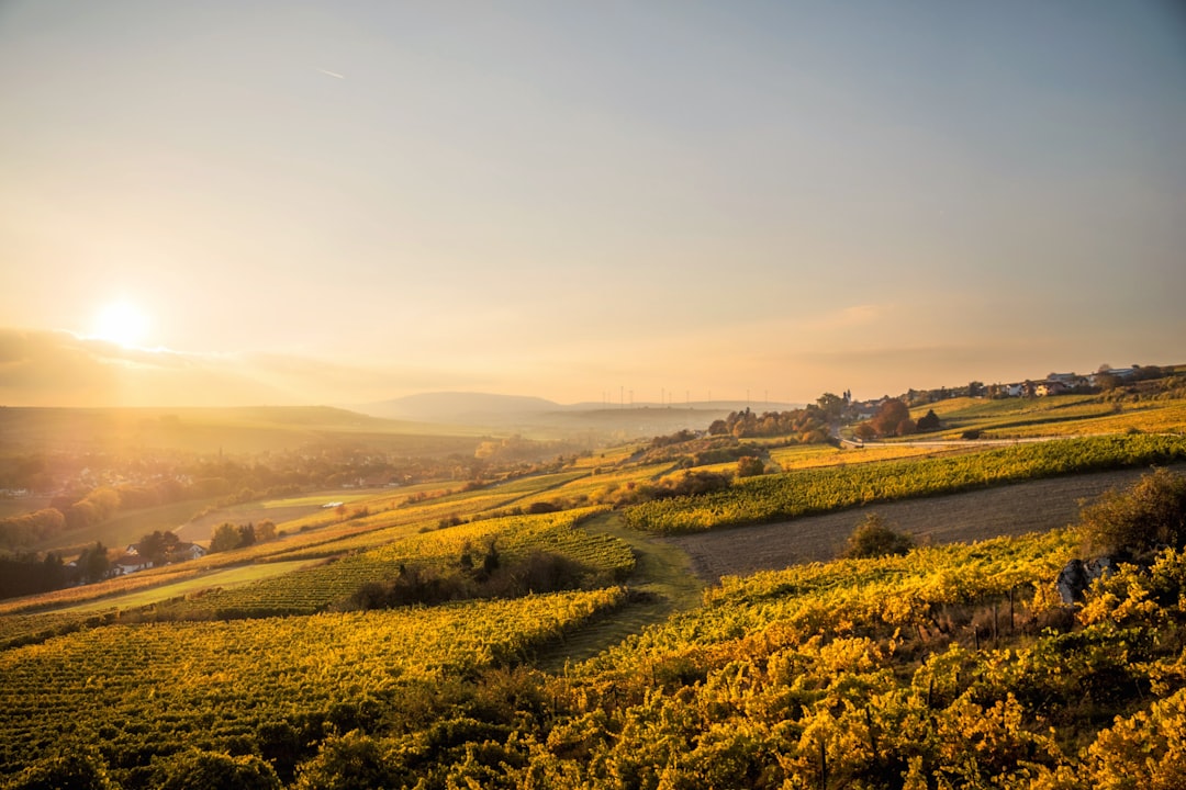 Germany's Timeless Allure Discovering the Ideal