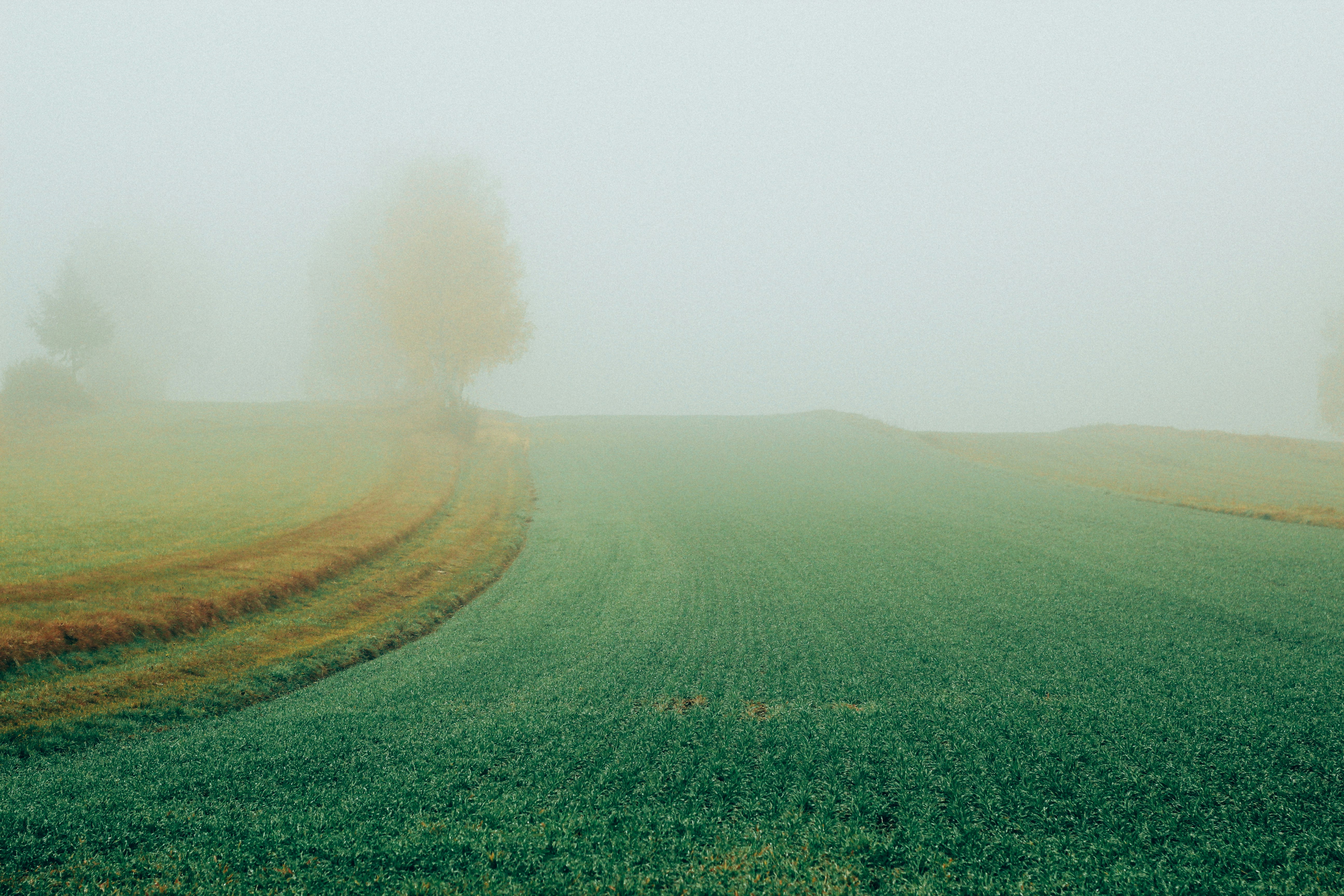 Free Unsplash photo from Claus Grünstäudl