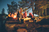 Wild Roots logo