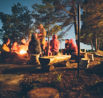 group of people near bonfire near trees during nighttime