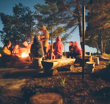 group of people near bonfire near trees during nighttime