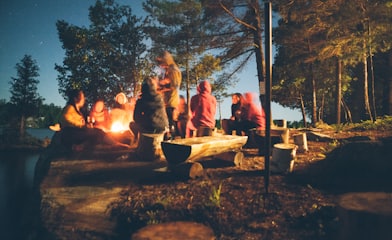 group of people near bonfire near trees during nighttime