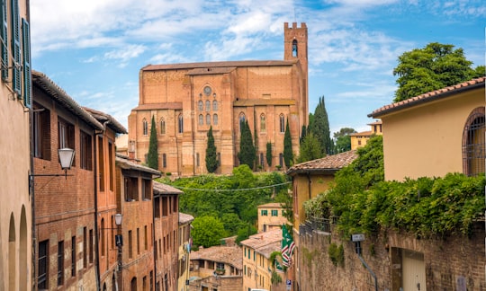 Basilica of San Domenico things to do in Province of Siena