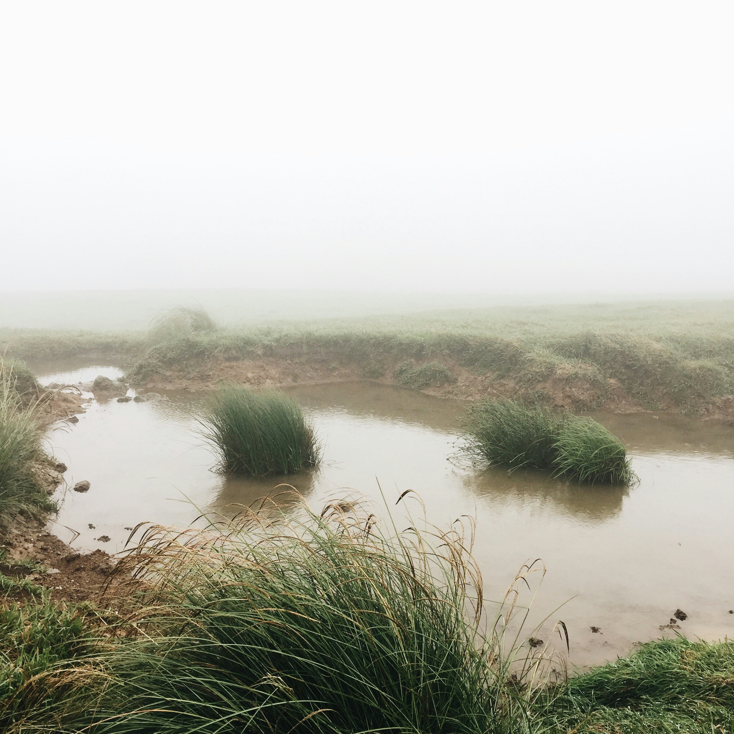 Free Unsplash photo from Lin Syuan