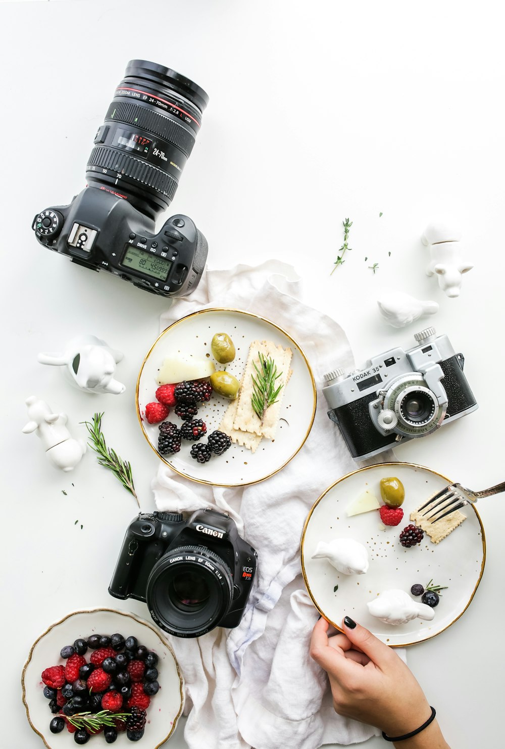 three assorted cameras near fruits and ceramic figurines