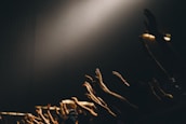 group of people waving their hands