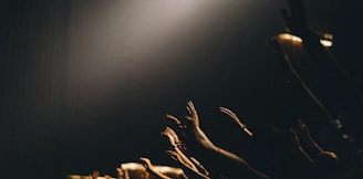 group of people waving their hands